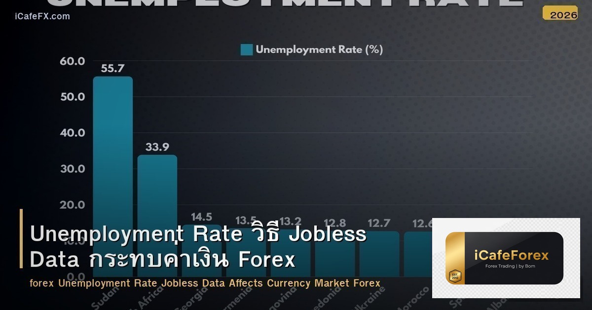 Unemployment Rate วิธี Jobless Data กระทบค่าเงิน Forex