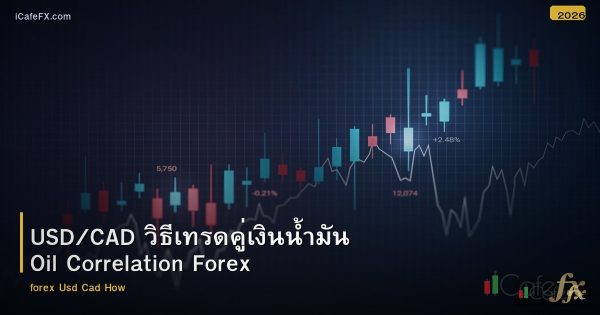USD/CAD วิธีเทรดคู่เงินน้ำมัน Oil Correlation Forex