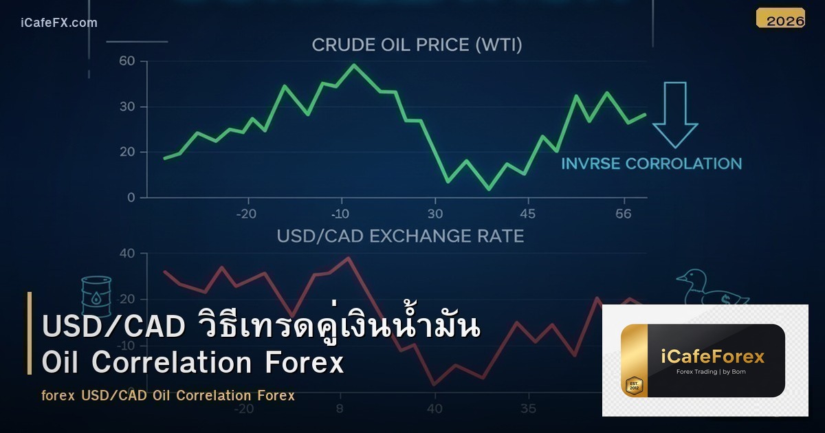 USD/CAD วิธีเทรดคู่เงินน้ำมัน Oil Correlation Forex