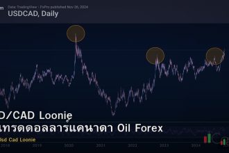 USD/CAD Loonie วิธีเทรดดอลลาร์แคนาดา Oil Forex