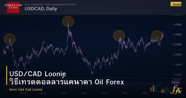 USD/CAD Loonie วิธีเทรดดอลลาร์แคนาดา Oil Forex