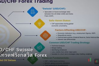 USD/CHF Swissie วิธีเทรดฟรังก์สวิส Forex