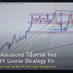 USD/CAD Advanced วิธีเทรด Fed BOC Oil DXY Loonie Strategy Forex