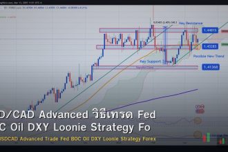 USD/CAD Advanced วิธีเทรด Fed BOC Oil DXY Loonie Strategy Forex