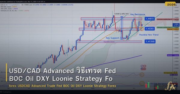 USD/CAD Advanced วิธีเทรด Fed BOC Oil DXY Loonie Strategy Forex