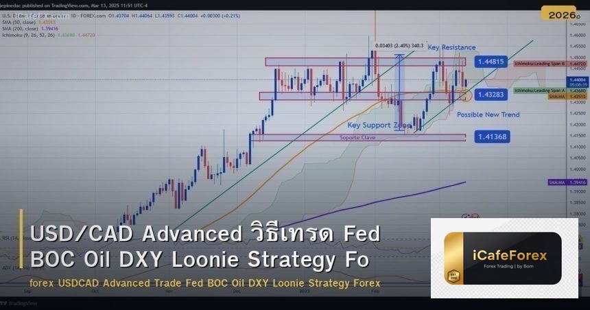 USD/CAD Advanced วิธีเทรด Fed BOC Oil DXY Loonie Strategy Forex