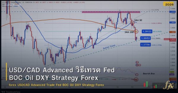 USD/CAD Advanced วิธีเทรด Fed BOC Oil DXY Strategy Forex