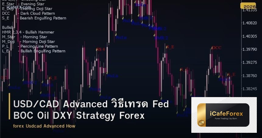 USD/CAD Advanced วิธีเทรด Fed BOC Oil DXY Strategy Forex