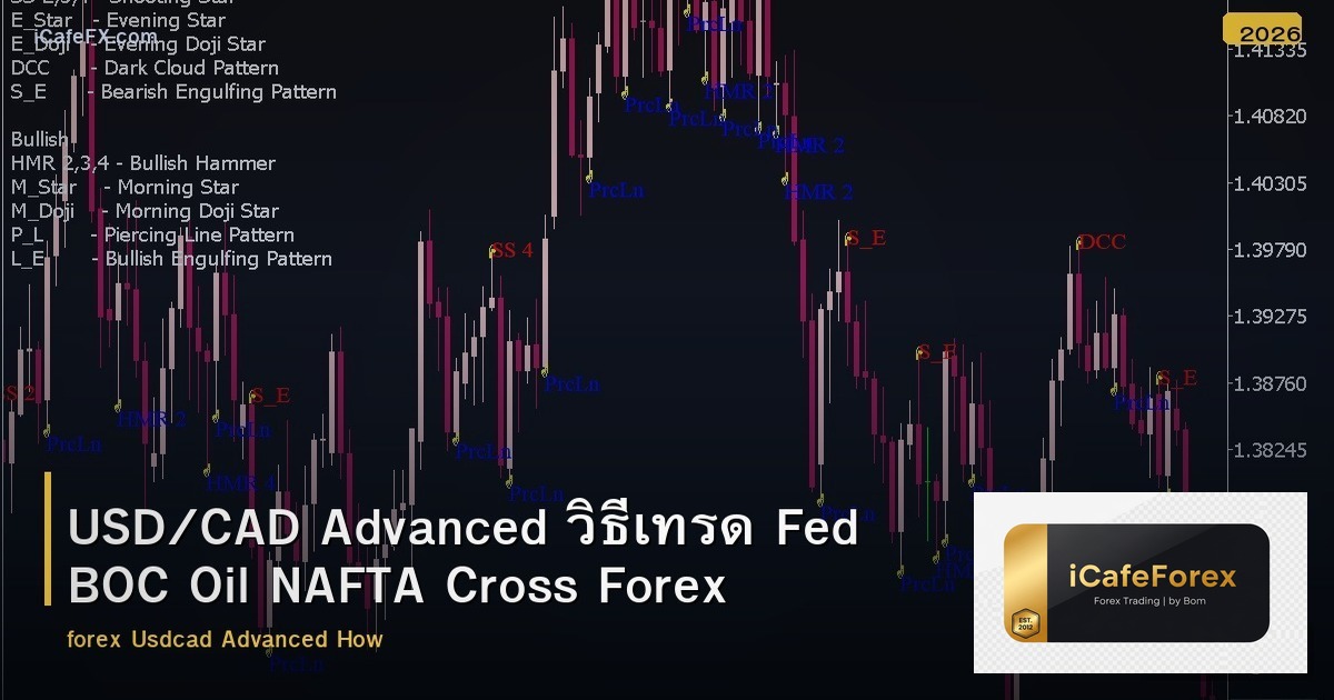 USD/CAD Advanced วิธีเทรด Fed BOC Oil NAFTA Cross Forex