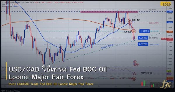 USD/CAD วิธีเทรด Fed BOC Oil Loonie Major Pair Forex