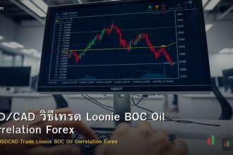 USD/CAD วิธีเทรด Loonie BOC Oil Correlation Forex