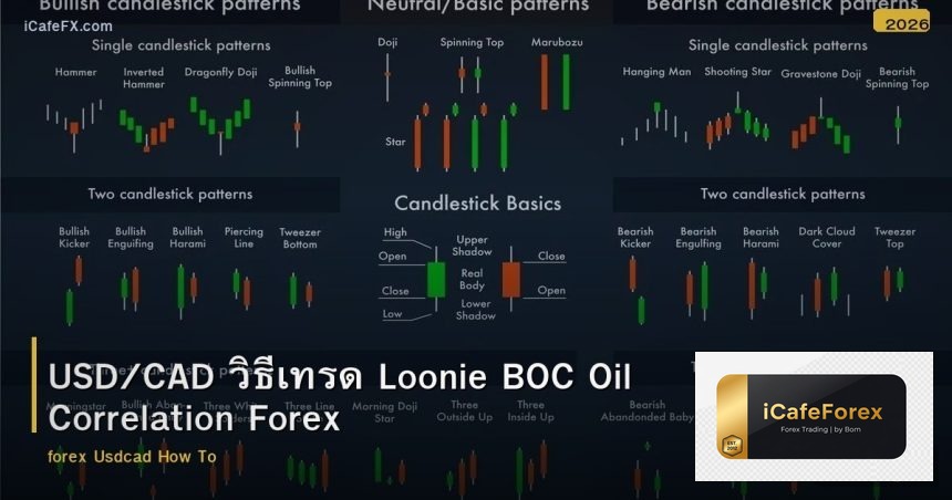 USD/CAD วิธีเทรด Loonie BOC Oil Correlation Forex