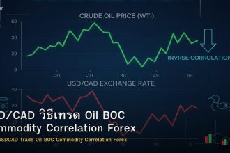 USD/CAD วิธีเทรด Oil BOC Commodity Correlation Forex