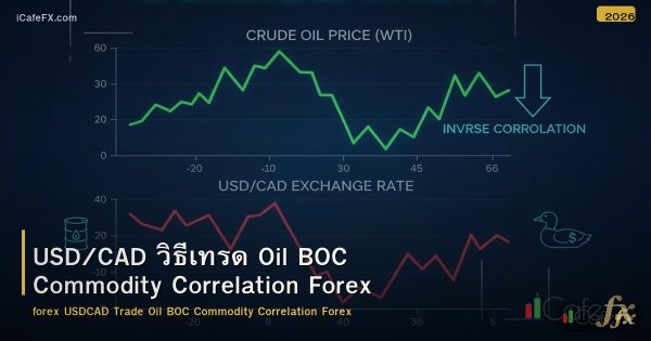 USD/CAD วิธีเทรด Oil BOC Commodity Correlation Forex
