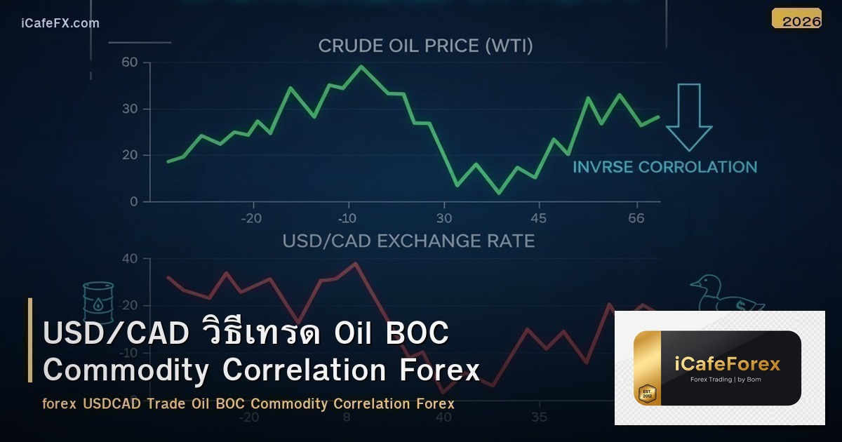 USD/CAD วิธีเทรด Oil BOC Commodity Correlation Forex
