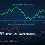 USD/CAD วิธีเทรด Oil Correlation BOC Forex