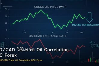 USD/CAD วิธีเทรด Oil Correlation BOC Forex