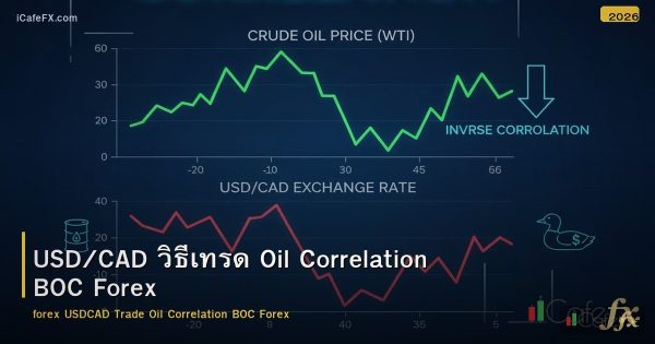 USD/CAD วิธีเทรด Oil Correlation BOC Forex