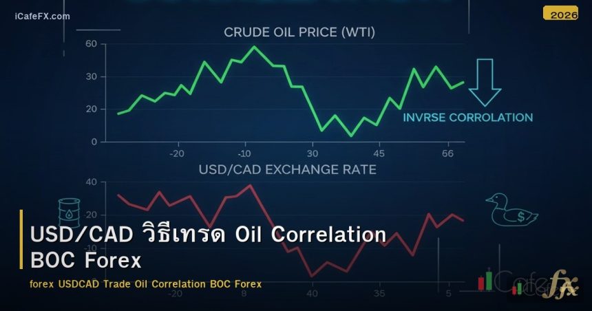 USD/CAD วิธีเทรด Oil Correlation BOC Forex