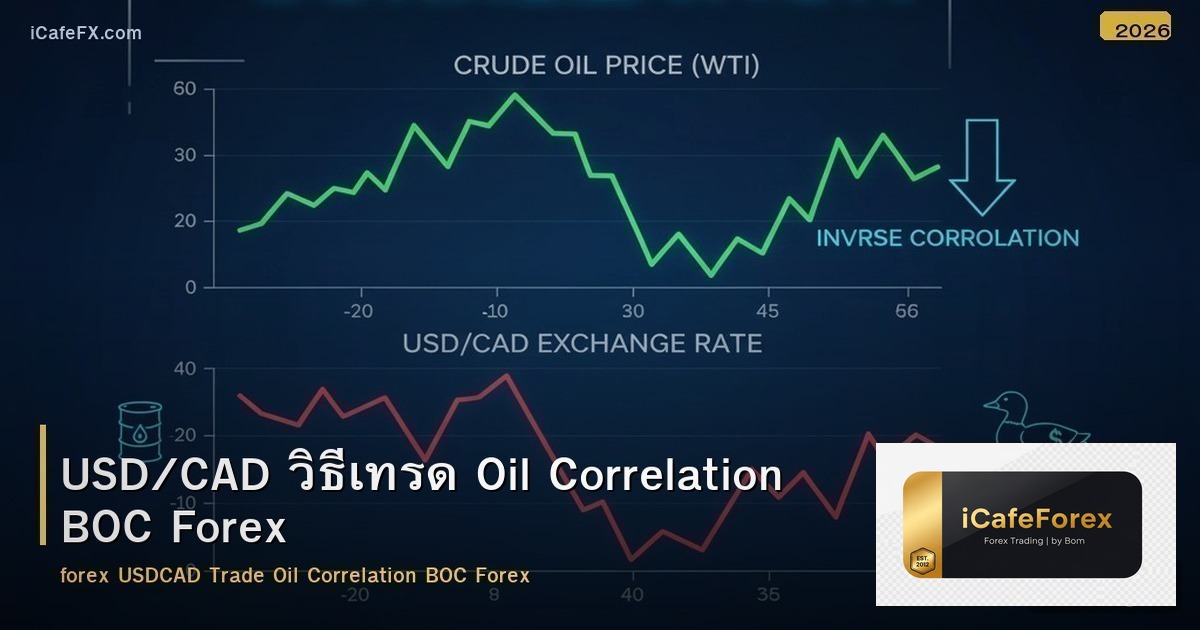 USD/CAD วิธีเทรด Oil Correlation BOC Forex
