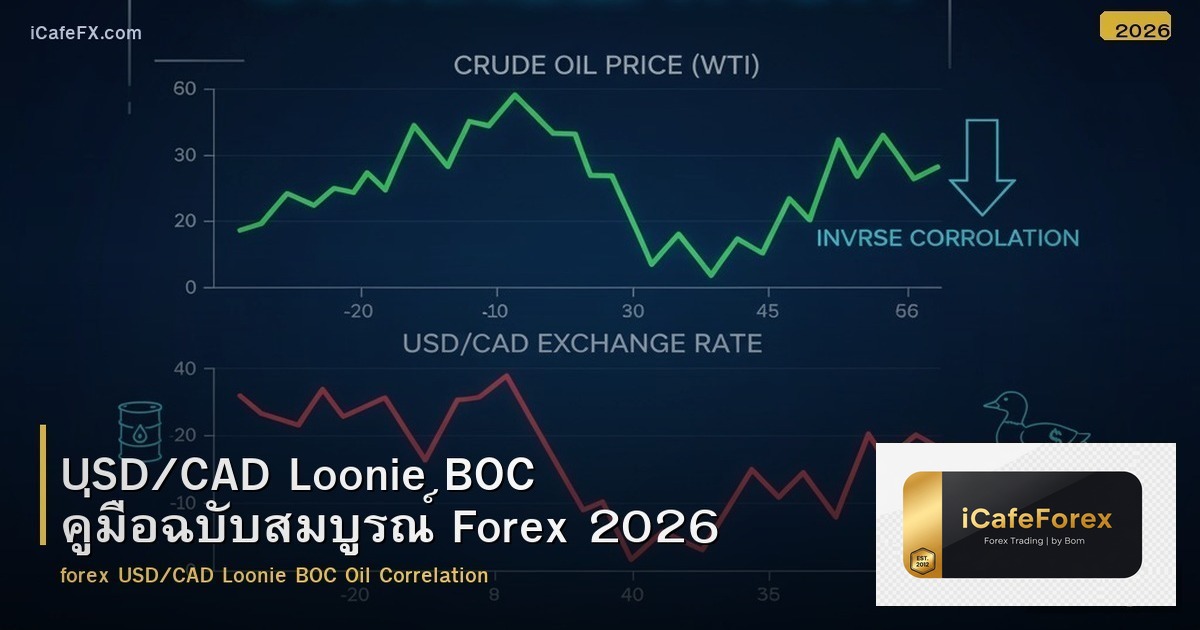 USD/CAD Loonie BOC คู่มือฉบับสมบูรณ์ Forex 2026