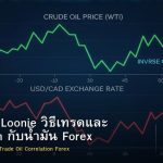 USD/CAD Loonie วิธีเทรดและ Correlation กับน้ำมัน Forex