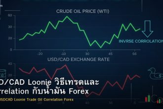 USD/CAD Loonie วิธีเทรดและ Correlation กับน้ำมัน Forex