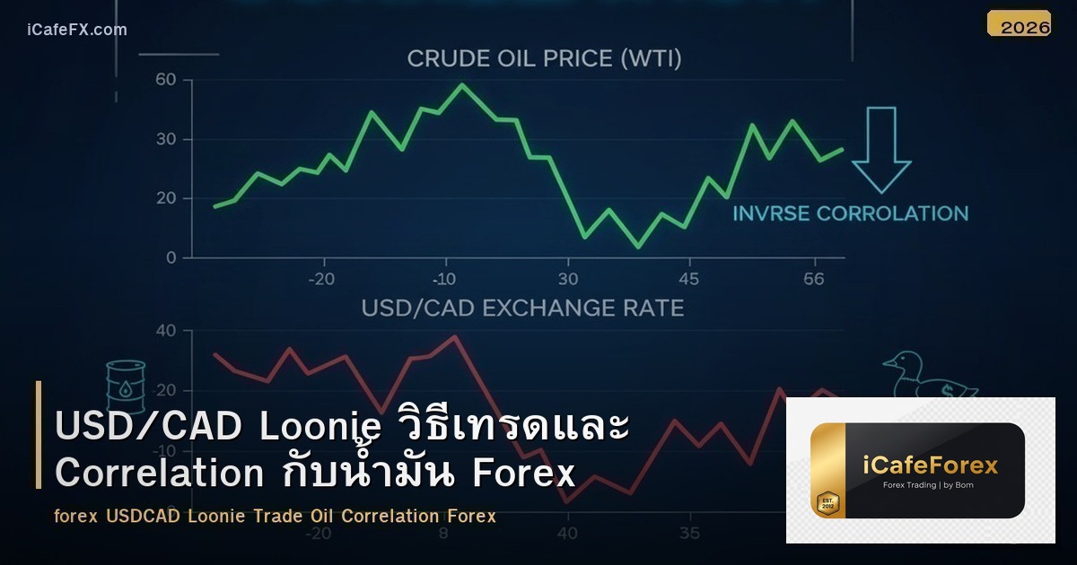 USD/CAD Loonie วิธีเทรดและ Correlation กับน้ำมัน Forex