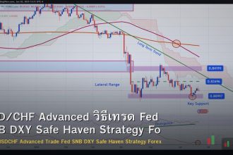 USD/CHF Advanced วิธีเทรด Fed SNB DXY Safe Haven Strategy Forex