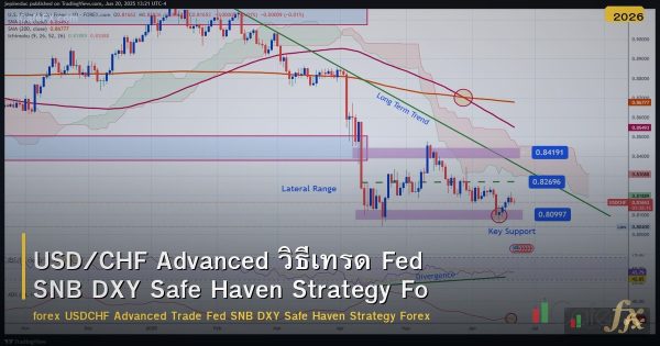 USD/CHF Advanced วิธีเทรด Fed SNB DXY Safe Haven Strategy Forex