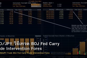 USD/JPY วิธีเทรด BOJ Fed Carry Trade Intervention Forex