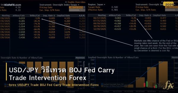 USD/JPY วิธีเทรด BOJ Fed Carry Trade Intervention Forex