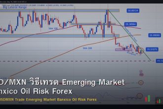 USD/MXN วิธีเทรด Emerging Market Banxico Oil Risk Forex