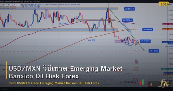 USD/MXN วิธีเทรด Emerging Market Banxico Oil Risk Forex