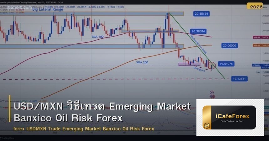 USD/MXN วิธีเทรด Emerging Market Banxico Oil Risk Forex