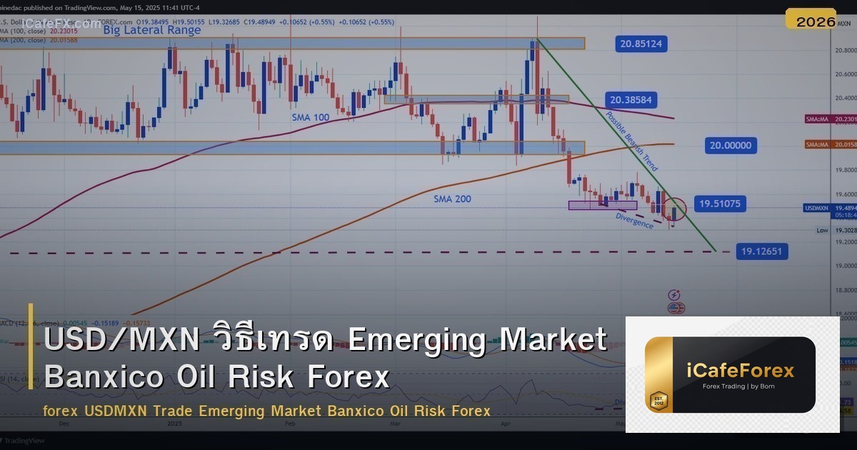 USD/MXN วิธีเทรด Emerging Market Banxico Oil Risk Forex
