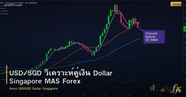 USD/SGD วิเคราะห์คู่เงิน Dollar Singapore MAS Forex