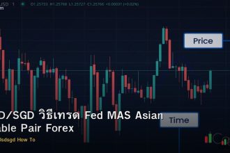 USD/SGD วิธีเทรด Fed MAS Asian Stable Pair Forex
