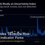 VIX Fear Index วิธีใช้เป็น Risk Sentiment Indicator Forex