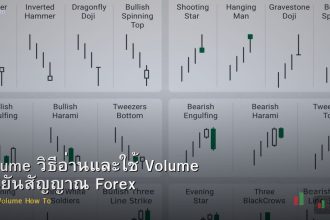 Volume วิธีอ่านและใช้ Volume ยืนยันสัญญาณ Forex