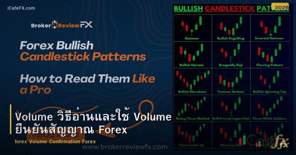 Volume วิธีอ่านและใช้ Volume ยืนยันสัญญาณ Forex