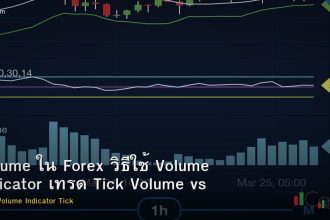 Volume ใน Forex วิธีใช้ Volume Indicator เทรด Tick Volume vs Real Volume
