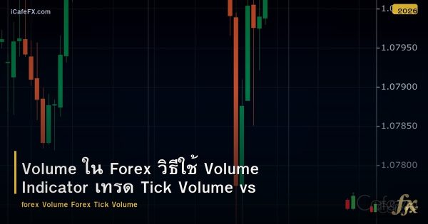 Volume ใน Forex วิธีใช้ Volume Indicator เทรด Tick Volume vs Real Volume