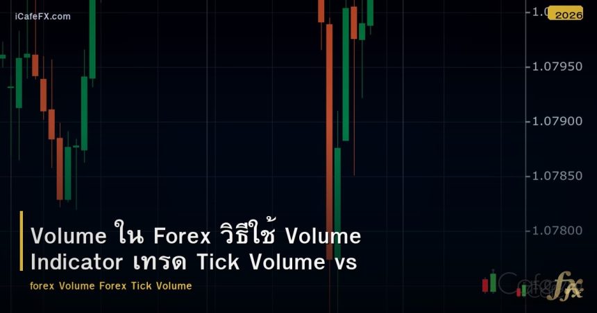 Volume ใน Forex วิธีใช้ Volume Indicator เทรด Tick Volume vs Real Volume