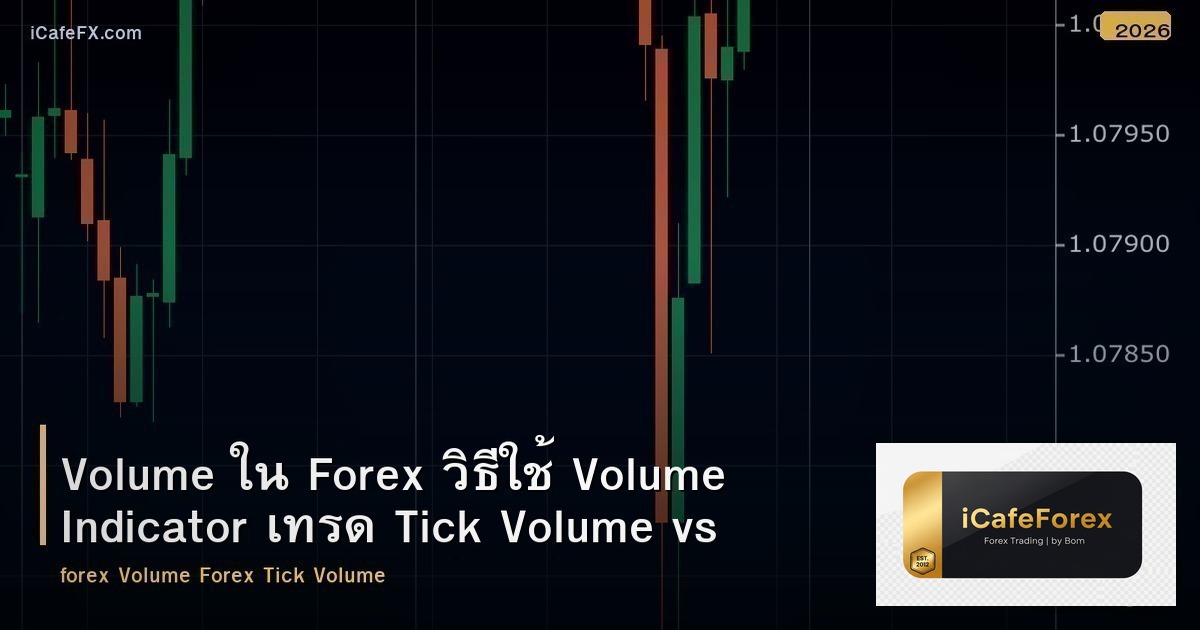 Volume ใน Forex วิธีใช้ Volume Indicator เทรด Tick Volume vs Real Volume