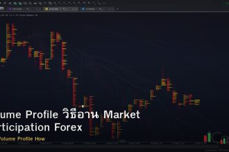Volume Profile วิธีอ่าน Market Participation Forex