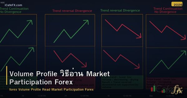 Volume Profile วิธีอ่าน Market Participation Forex