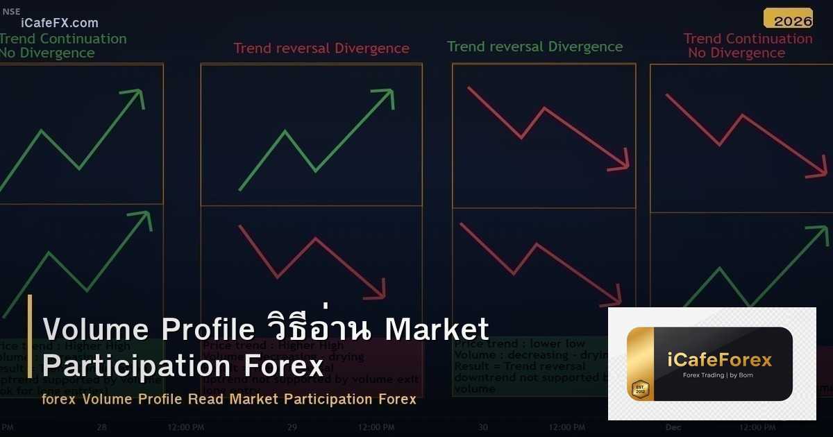 Volume Profile วิธีอ่าน Market Participation Forex