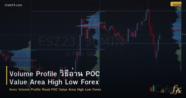 Volume Profile วิธีอ่าน POC Value Area High Low Forex