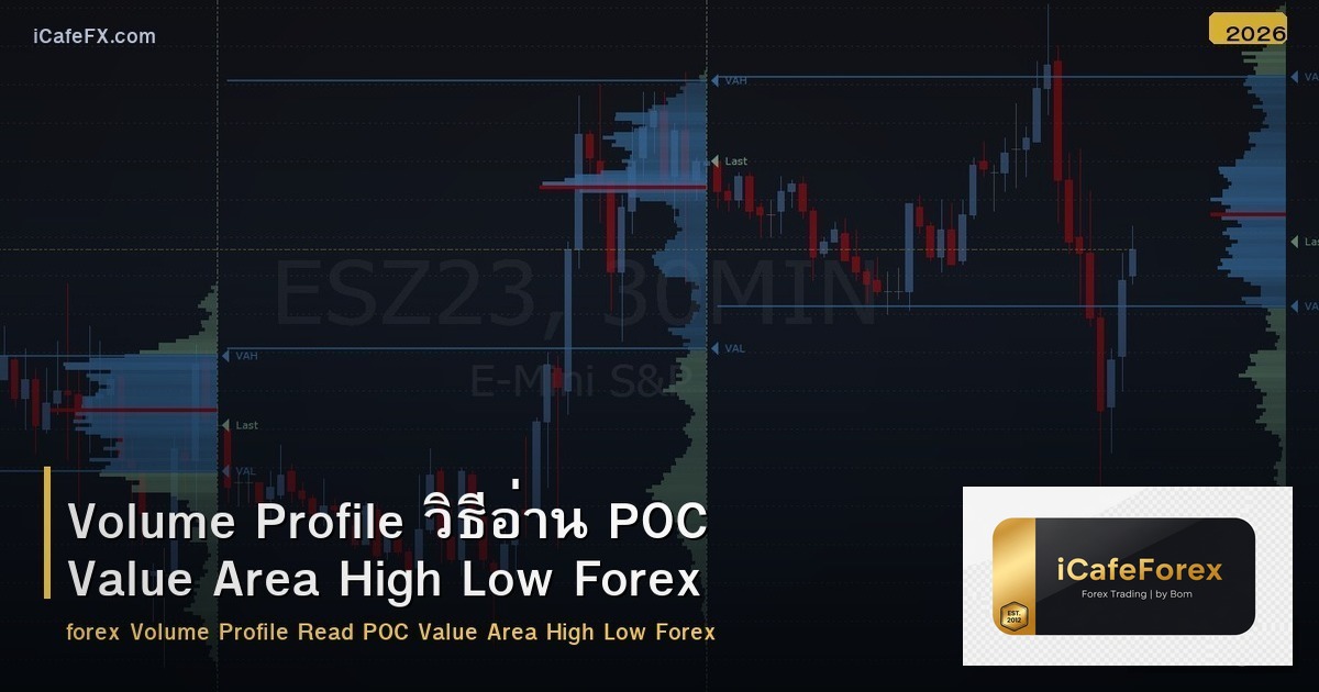 Volume Profile วิธีอ่าน POC Value Area High Low Forex